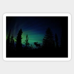 Moose with Northern Lights Sticker